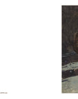 N.C. Wyeth: New Perspectives