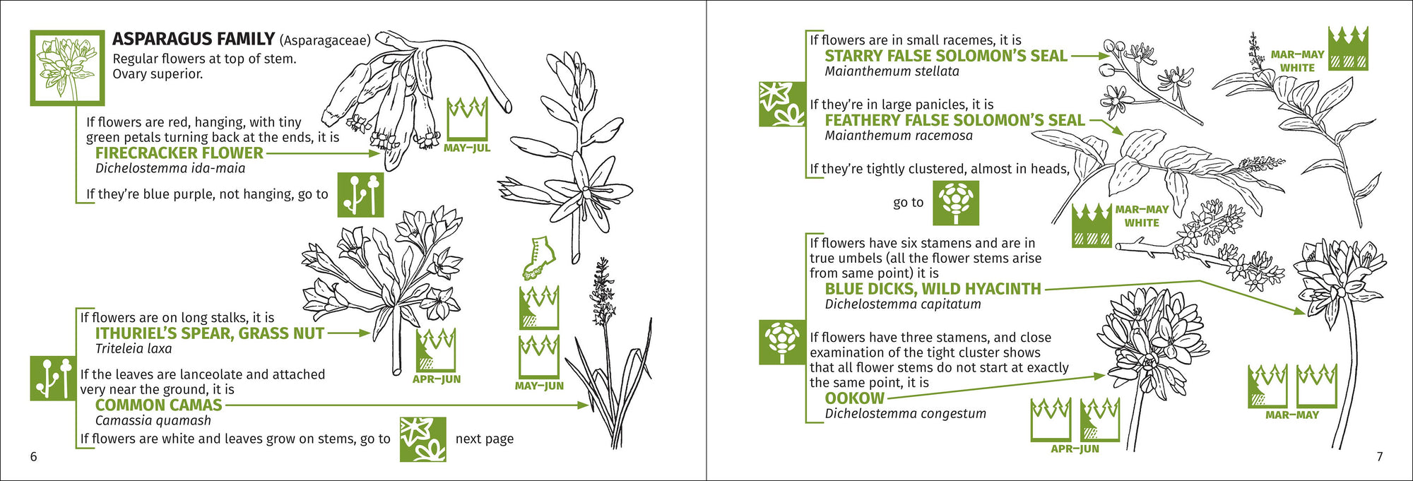 Redwood Region Flower Finder 3rd Edition