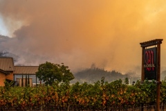 Glass Fire seen behind Madrigal Family Winery. 2020.