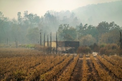 October 2, 2020. Glass Fire impact on Dutch Henry Winery.