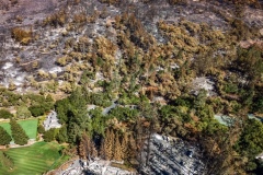 October 14, 2020. Glass Fire damage to Meadowood.