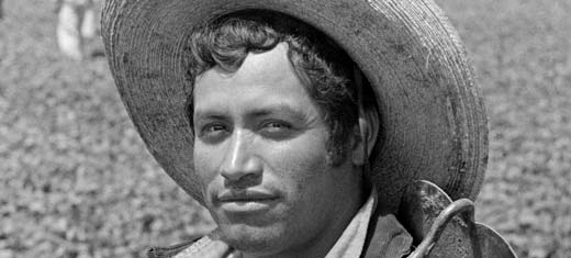 The Smithsonian presents Bittersweet Harvest: The Bracero Program, 1942-1964