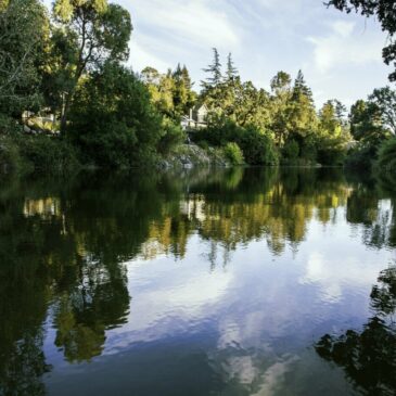 Call to the Community: Celebrate the Napa River!